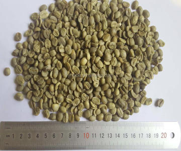 yunnan green coffee beans grade AA