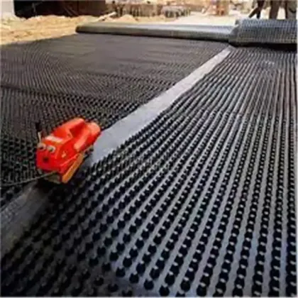 1000g Dimple Waterproof Drainage Board Mat HDPE Drainage Solution