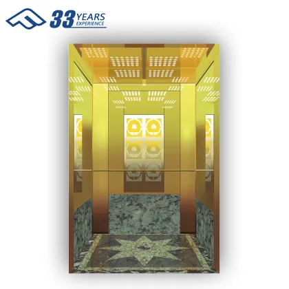 Golden lift 10 person  passenger elevator