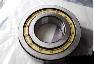Nup322e, Nup2322e Cylindrical Roller Bearings With Line Bearing For Middle Sized Motors