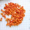 Masustansyang Dried Shredded Carrot para sa Mas Malusog na Pamumuhay