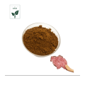 Pure Rhodiola Rosea Extract Powder