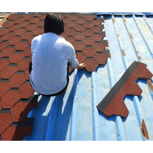 Asphalt Roof Shingle Cold Formed Steel Building Material Colorful Asphalt Tile Supplier