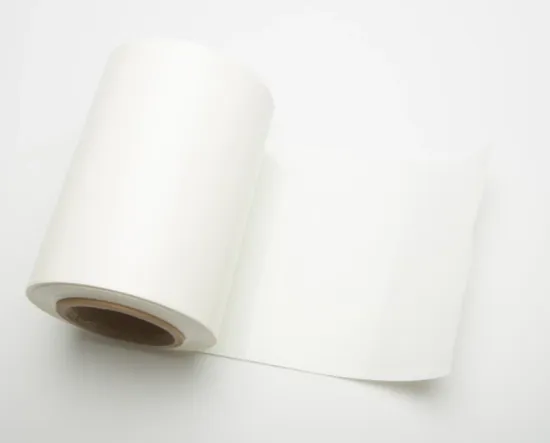 Thin sheet thermoforming pet PP HIPS plastic tray