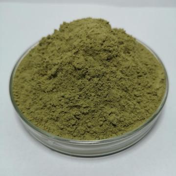 Organic Kale Leaves Powder