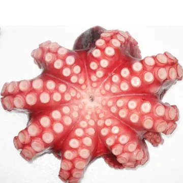 Octopus boiled cut frozen seafood