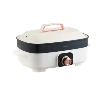 Multifunctional Electric Hot Pot Cooker: Frying, Steaming, and Cooking