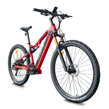 Electric Bike 1000W Electric Bicycle mountain Bike