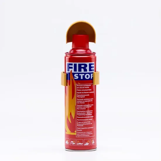 Portable Vehicle Mounted Fire Extinguisher - 500ML Foam Fire Extinguisher Direct from Manufacturer