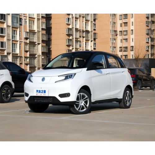 EV small electric car 2023 Recharge Mileage 408 KM for sale