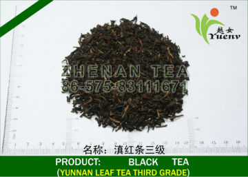 best black tea market loose tea
