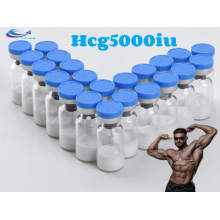 supply high purity hcg 5000iu 2000iu powder