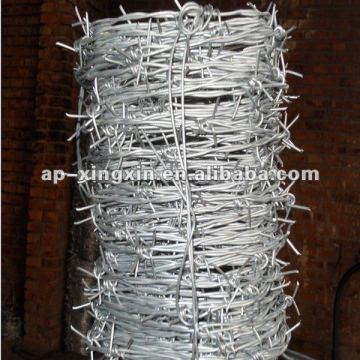 Fine Quality hot dipped galvanized barbed wire ( Chinese professional manufacturer )