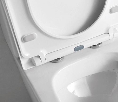 High-Tech Intelligent Smart Toilet