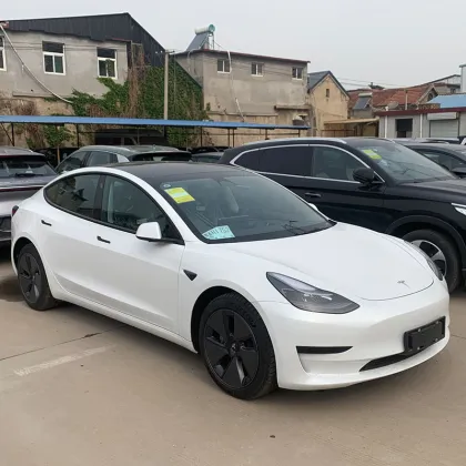 China's Market for 4-Wheel New Energy Vehicles: Focus on Tesla Model 3, Electric EV Cars for Adults