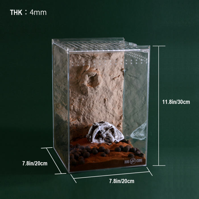 Caja de reproducción de lagarto acrílico personalizable