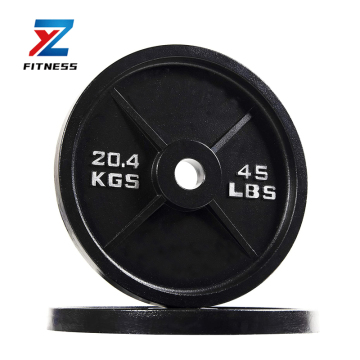 2025 New Rubber Cast Iron Barbell Plates for Gym or Home - 10/15/20/25 lbs
