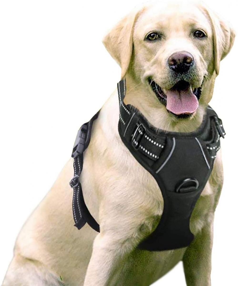 Hounds Design Freedom No Pull Dog Harness Custom