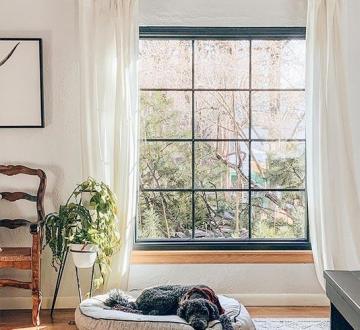 large fixed pane bullet proof commercial glass window
