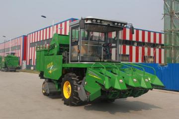 Gold Dafeng Four Row Corn Harvester