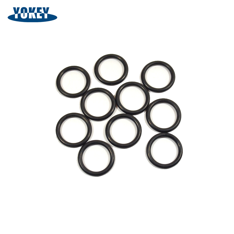 FKM Coated O-Ring Acid and Alkali Resistant PFA/FEP Encapsulated O-Ring