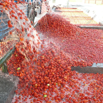 High Efficiency Tomato Processing Production Line: Jam, Juice, Ketchup, Sauce, Powder