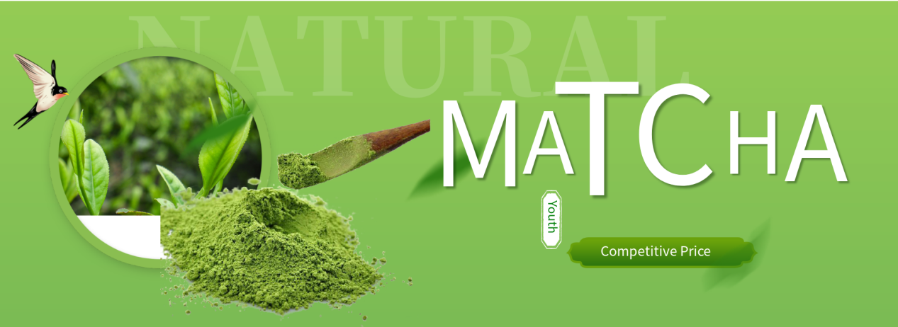 1.Ceremonial Best Matcha Green Tea Powder