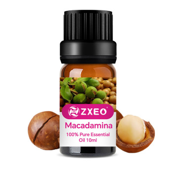 Macadamia orgânica natural pura Óleo prensado a frio OEM OEM ODM Macadamia Nut Argan Oil Oil