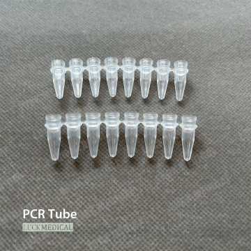 Strisce PCR a 8 tubi in plastica usa e getta Tubi PCR