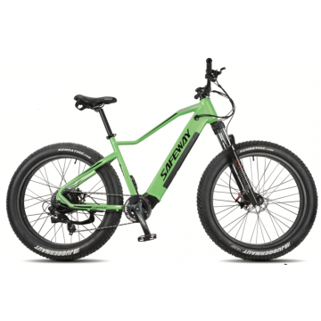 Ebike eletric bike