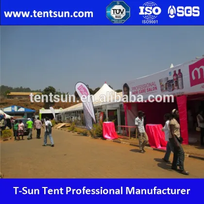 GuangZhou T-SUN big ridge tent with peak for sale