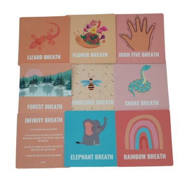 Custom High Quality Children's English Learning Flash Cards with Box Packaging