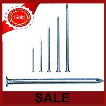 common steel nails low price&high quality