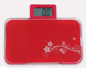 Portable Scale