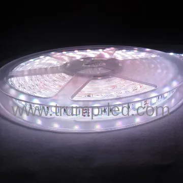 smd 5050 waterproof led lighting strip from shenzhen led star lighting