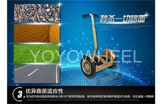 Gyro Stabilized remote control 1000w Electric Chariot Scoot