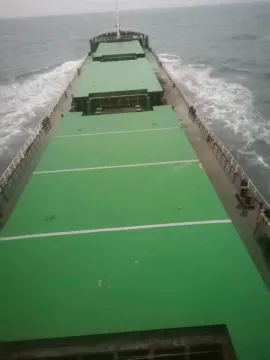 13600 DWT Cargo ship build in  2009