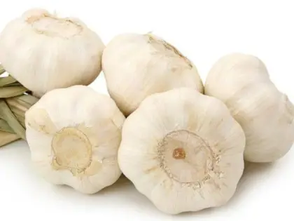 Natural Fresh White Garlic Vegetables