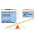 Galacto Oligosaccharide GOS 27% Tierfutter