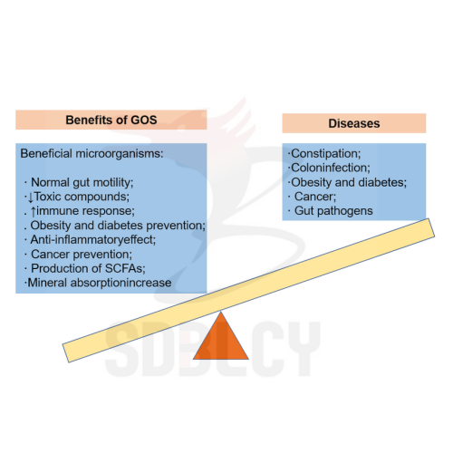 Galactooligosaccharides 27% Powder Galacto oligosaccharides GOS 27% animal feed Manufactory