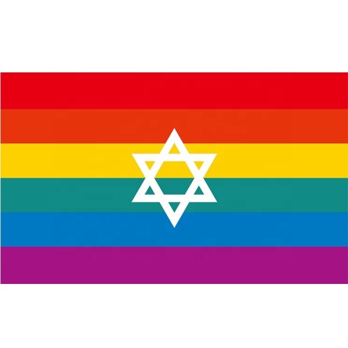 flag pin gay flag lgbt