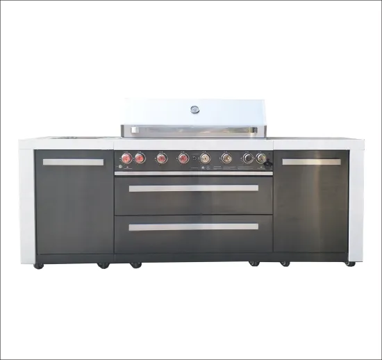 8-Burner Barbecue Gas Grill