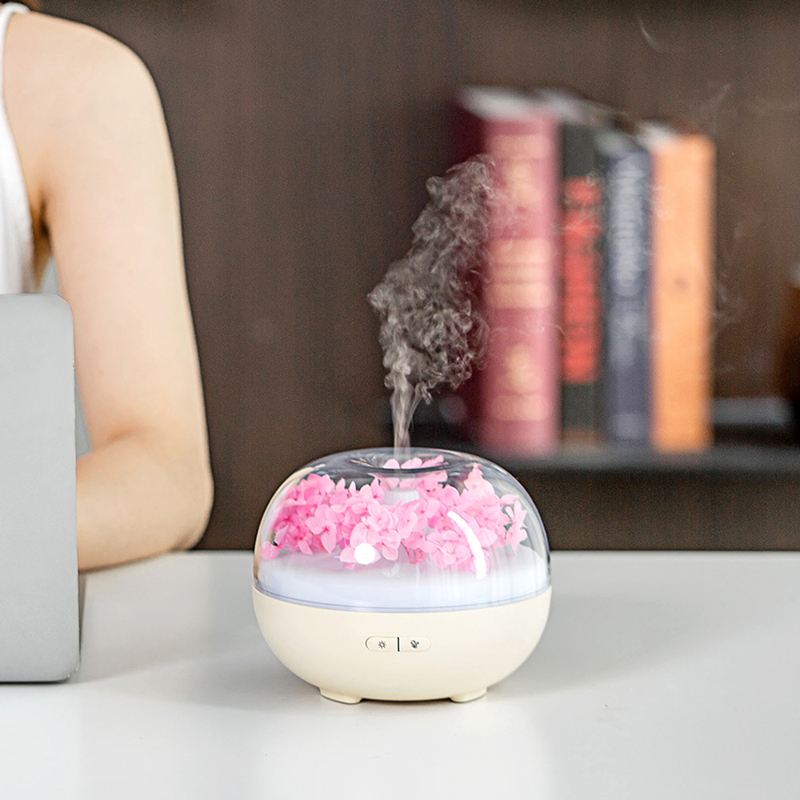 Aromatherapy machine preserved flower Aroma Diffuser