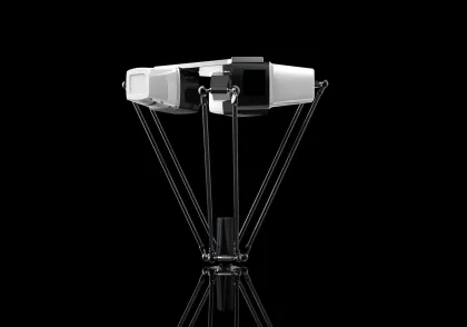 Automatic Moving Products with Packing Line and Parallel Robot Arms