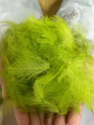 Wholesale CDC Fly Tying Duck Feathers - Water Repellent Duck Green Glands Butt Feathers for Dry Fly Tying