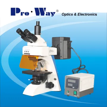 Professional Fluorescent Biological Microscope