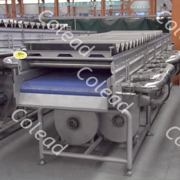 Single Layer Mesh Belt Air Dryer for vegetable