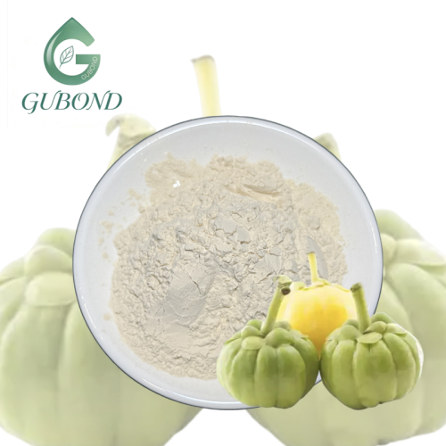 Порошок экстракта гарцинии камбоджийской для пищевых добавок