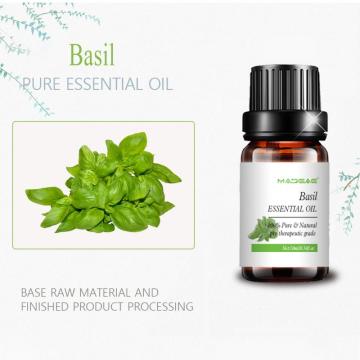 Organic Basil Essential Oil Water Soluble Massage Skin Care
