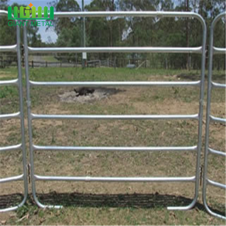 galvanized pipe horse fence panel cattle fence